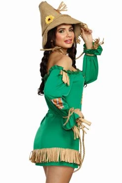 Dreamgirl Charming Country Scarecrow Costume