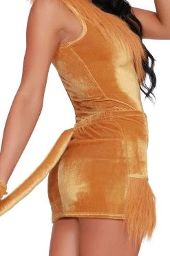 Dreamgirl Queen Of The Jungle Lion Costume