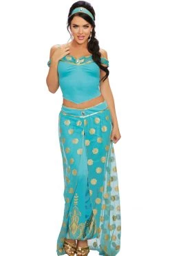 Dreamgirl Costumes Dazzling Arabian Princess Costume