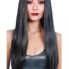 Dreamgirl Long Straight Jet-Black Wig 1 Dreamgirl Long Straight Jet-Black Wig