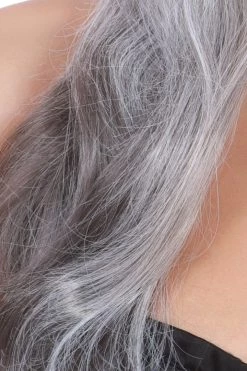 Dreamgirl Grey & Black Long Wavy Wig Costumes