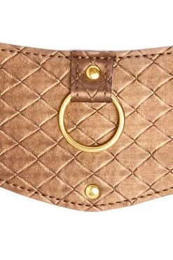 Allure BDSM Collars X-Play Bronze Training Collar