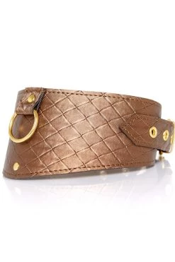 Allure BDSM Collars X-Play Bronze Training Collar