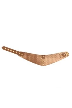 Allure BDSM Collars X-Play Bronze Training Collar