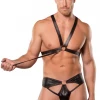 Allure Men's Fearless Ring Harness & Brief Set