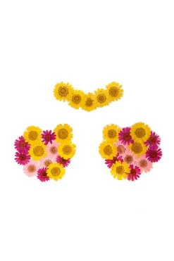 NevaNude Indio Empress Yellow Real Dried Pressed Flower Nipztix Lingerie