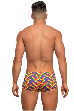 Magic Silk Lingerie Rainbow Print Mini Short