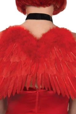 AMSCAN Red Devil Wings Costume Accessory Costumes