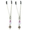 Entrenue BDSM Sex Kitten Clamps Purple Swirls