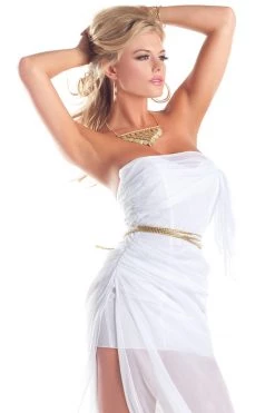 Be Wicked Lovely Goddess Costume