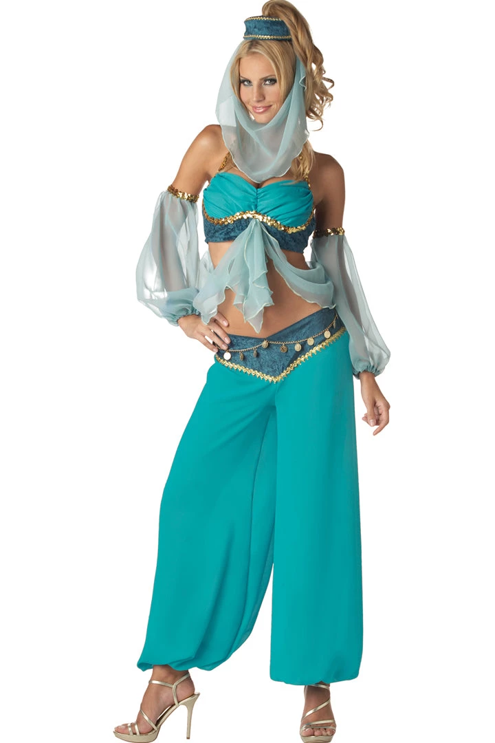 InCharacter Costumes Dreaming Genie Arabian Princess 3 InCharacter Costumes Dreaming Genie Arabian Princess