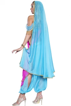InCharacter Costumes Exotic Arabian Jewel Princess