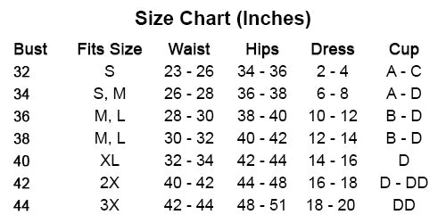 Elegant Moments BDSM Lingerie Gingham Plaid Vinyl Cupless Bustier & Panty