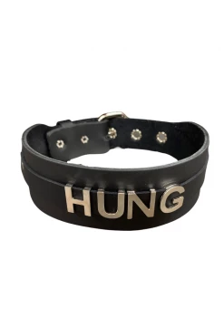 Funk Plus BDSM Collars 1 3/4" Leather Strap 'HUNG' Name Choker