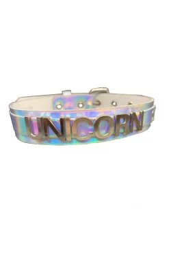 Funk Plus BDSM Collars 3D Steel Letter 'UNICORN' Rainbow Name Choker