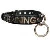 Funk Plus Stainless Steel 'TRAINING' Letter Words ID Name Choker BDSM Collars 2 Funk Plus Stainless Steel 'TRAINING' Letter Words ID Name Choker BDSM Collars