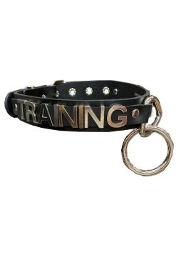 Funk Plus Stainless Steel 'TRAINING' Letter Words ID Name Choker BDSM Collars