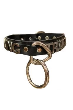 Funk Plus Stainless Steel 'TRAINING' Letter Words ID Name Choker BDSM Collars