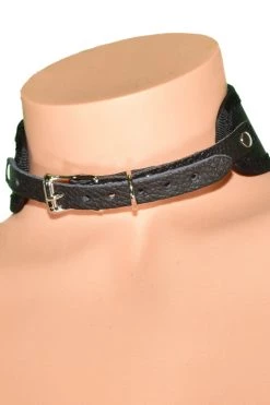 Funk Plus D Ring Leather BDSM Training Collar