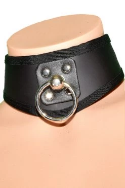 Funk Plus D Ring Leather BDSM Training Collar