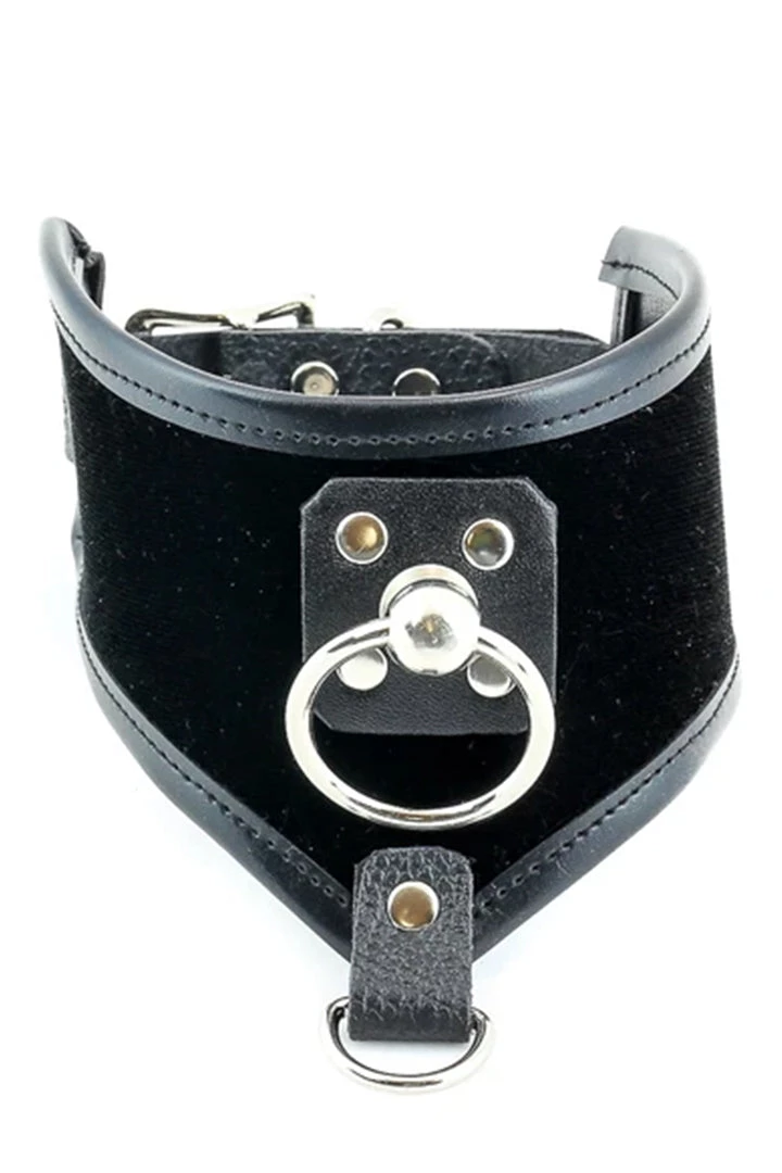 Funk Plus O Ring Black Velvet Posture Collar 3 Funk Plus O Ring Black Velvet Posture Collar