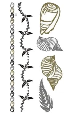 Yoga Sticker Factory Gold Tattoo Combo- Sea Shells