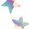 GE Apparel Holographic Star Nipple Pasties