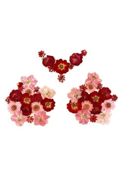 NevaNude Harvest Moondancer Red Real Dried Pressed Flower Nipztix