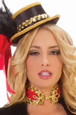 Starline Costumes Glitzy Ringmaster Costume