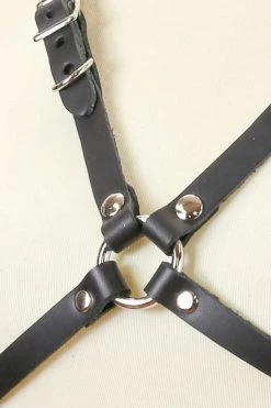 Funk Plus Leather Bra Harness & Metal O Rings BDSM Lingerie