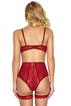 Julbie.com Lingerie Fine Feather Mesh Bra And Panty