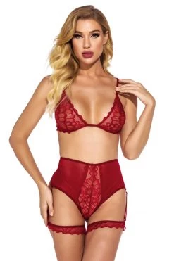 Julbie.com Lingerie Fine Feather Mesh Bra And Panty