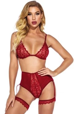 Julbie.com Lingerie Fine Feather Mesh Bra And Panty