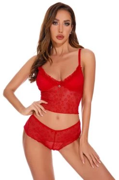 Coquette Lingerie Red Mesh Camisole Set