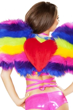 J Valentine Rainbow Clothing Rainbow Pony Wings
